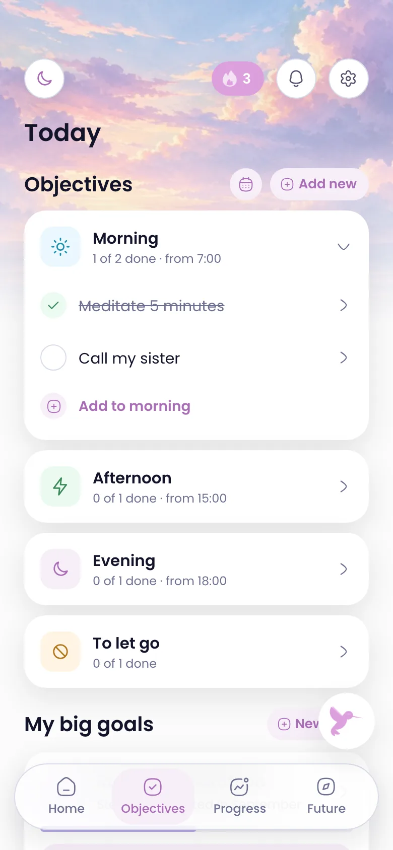 Today: objectives for the morning, afternoon and evening.